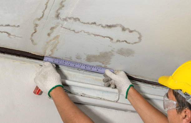 Reliable Structural Drying contractor in Wenatchee, WA by Water Damage Irwin
